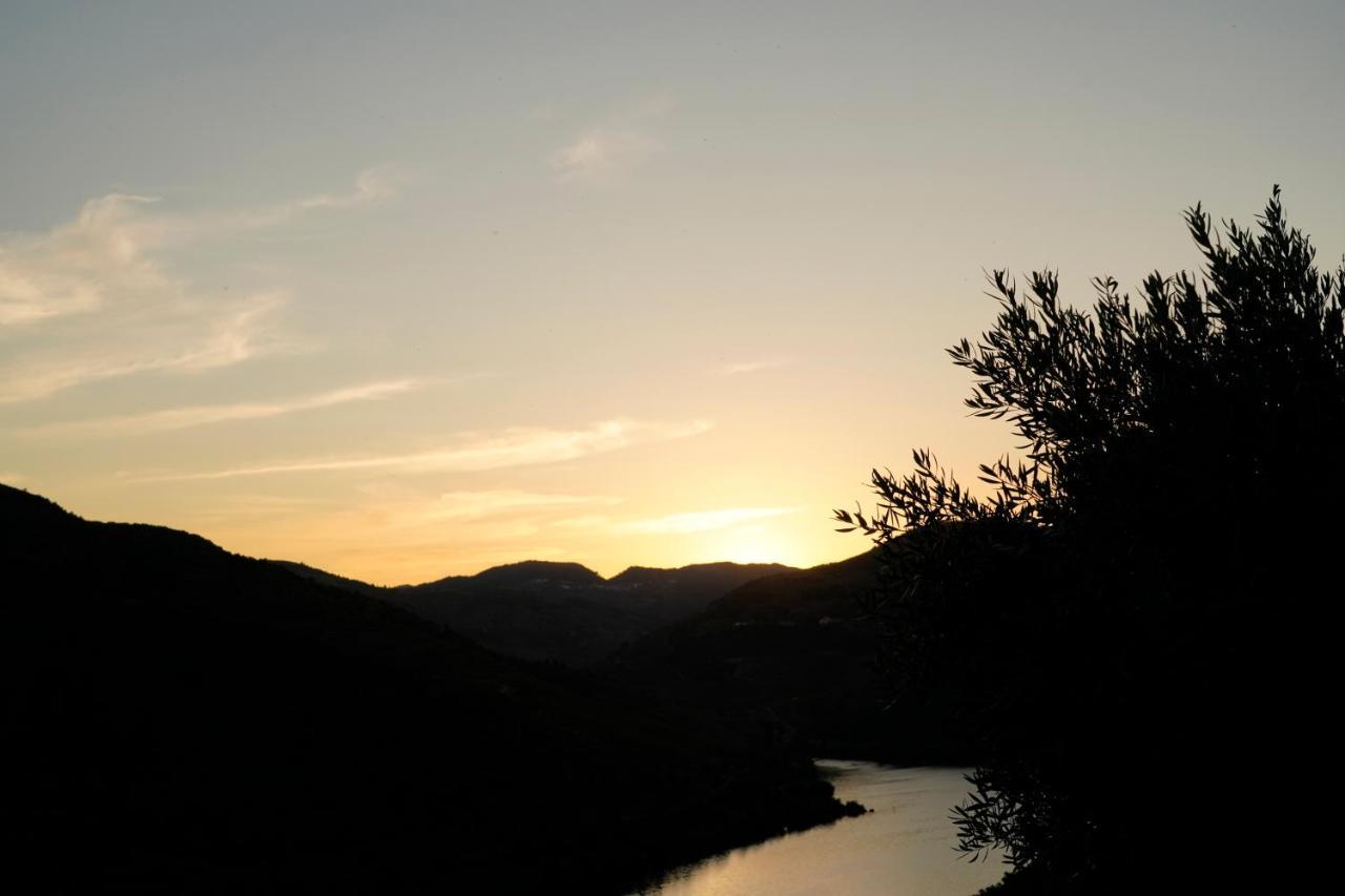 Quinta De S. Jose - * Ervedosa do Douro